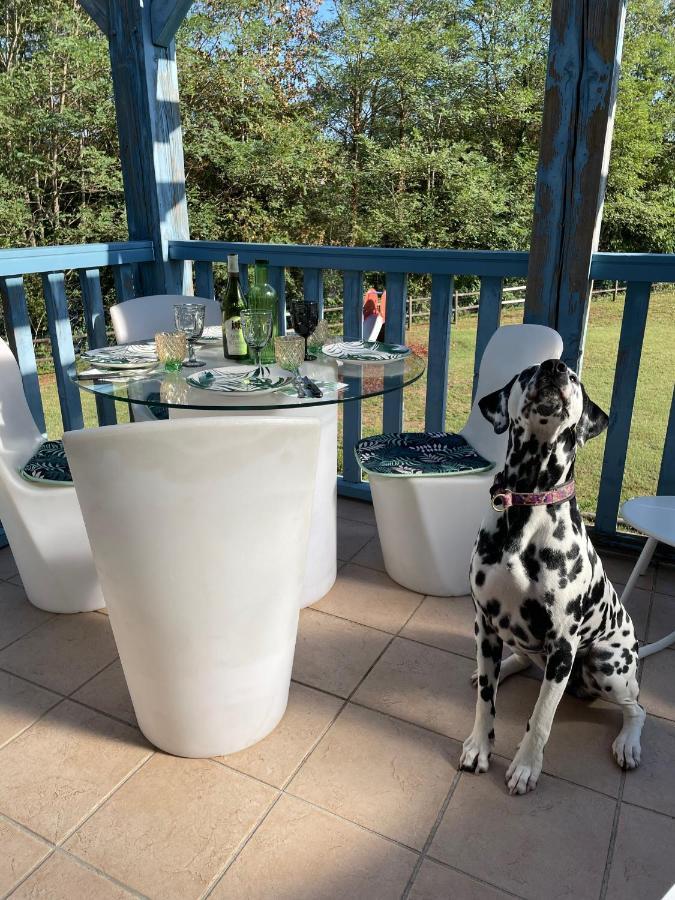 *A Setting Between Dordogne And Swimming Pool* Apartment Аржента Екстериор снимка